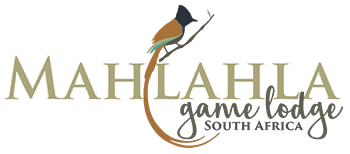 Mahlahla Game Lodge Logo Image